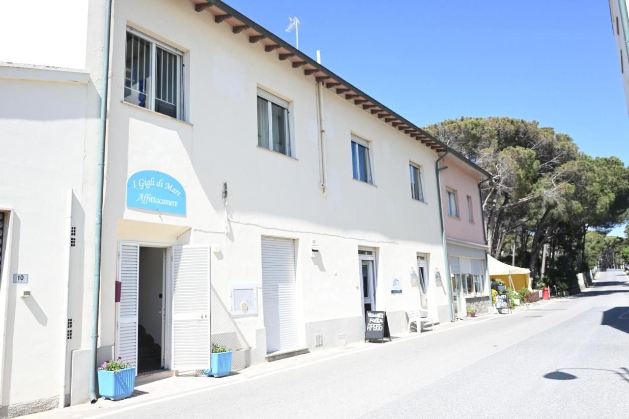 Affittacamere I Gigli di Mare Marina Di Bibbona Esterno foto