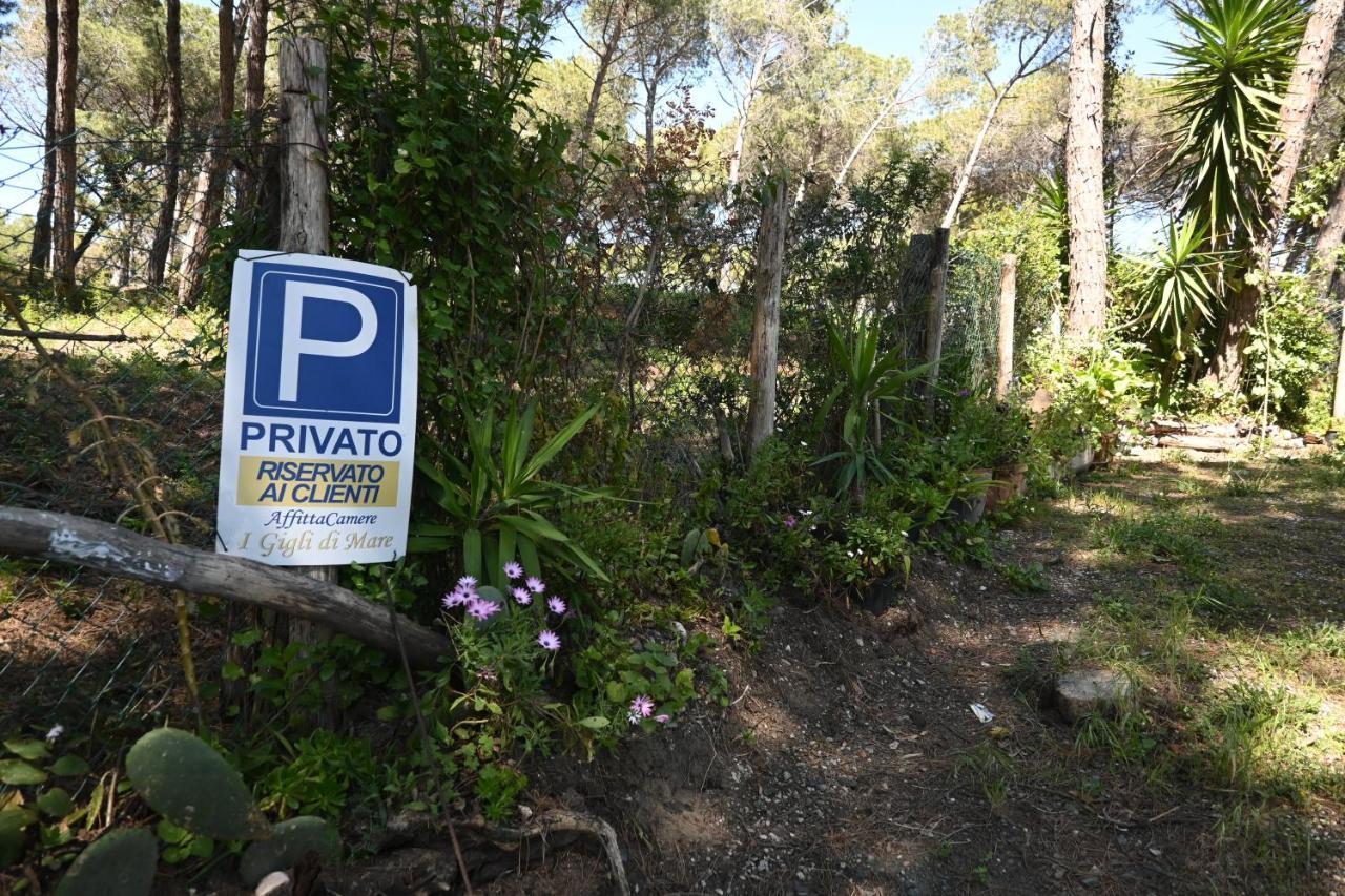 Affittacamere I Gigli di Mare Marina Di Bibbona Esterno foto