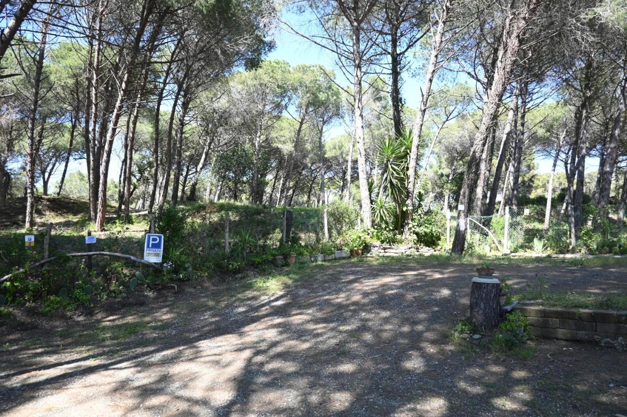 Affittacamere I Gigli di Mare Marina Di Bibbona Esterno foto