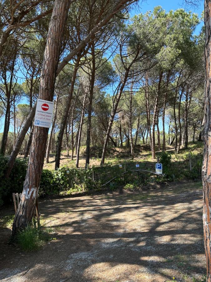 Affittacamere I Gigli di Mare Marina Di Bibbona Esterno foto